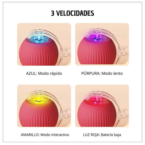 Image of Juguete interactivo con cola para mascotas