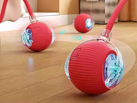 Image of Juguete interactivo con cola para mascotas