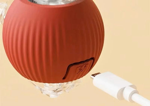 Image of Juguete interactivo con cola para mascotas